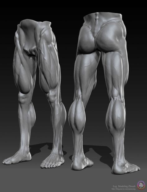 Leg Anatomy Sculpture, Sculpting Videos, Hands Anatomy, Zbrush Anatomy, Boichi Manga, Leg Anatomy, Human Muscle Anatomy, Human Anatomy Reference, Leg Muscle