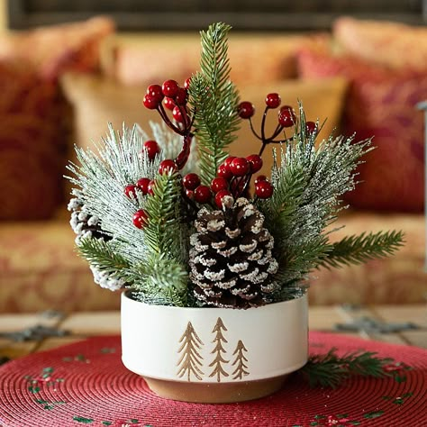 Christmas Arrangements Ideas, Christmas Flower Pots, Christmas Table Arrangements, Tree Pot, Christmas Garden Decorations, Christmas Planters, Christmas Flower Arrangements, Christmas Mix, Christmas Floral Arrangements