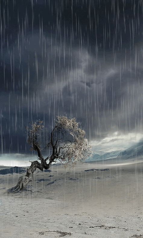 Rain Gif, Cozy Snow, Rainy Sky, Smell Of Rain, Christmas Cozy, I Love Rain, Rain Wallpapers, Rain Art, Photo Background Images Hd