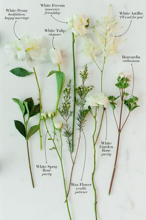 The Secret Language of Flowers: These Are the Most Romantic Wedding Bo | Glamour Inexpensive Wedding Flowers, White Spray Roses, Orange Wedding Flowers, Cheap Wedding Flowers, Secret Language, Boho Wedding Flowers, Winter Wedding Flowers, Flower Guide, Fleur Design