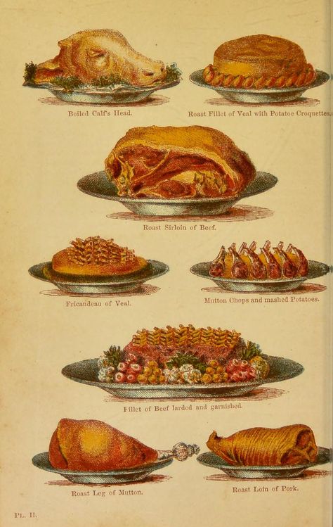 Edwardian Food, Victorian Recipes, 1800s Aesthetic, Dana Terrace, Dog Breeds List, King Food, Food Illustration Art, Vintage Cooking, Vintage Food