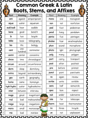 greek and latin word roots and stems Root Words Activities, Latin Root Words, Suffixes Worksheets, Teaching Latin, Text Structures, Prefixes And Suffixes, Latin Word, Latin Phrases, Root Words