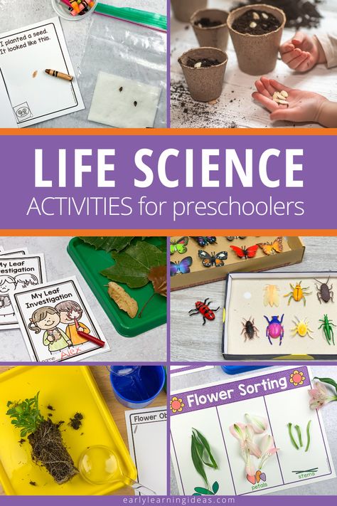 Do you want to make science fun for your kids? Here are some great life science activities for preschoolers that will help you do just that! From plant activities, life cycle activities, animal activities, and insect activities. You will find LOTS of ideas for life science activities for your kids in preschool, pre-k, and kindergarten. Click to learn more about fun and engaging life science activities today Plants Activities, Science Activities For Preschoolers, Life Cycle Activities, Dramatic Play Activities, Fun Experiments, Life Science Activities, Educational Activities For Preschoolers, Early Science, Insect Activities