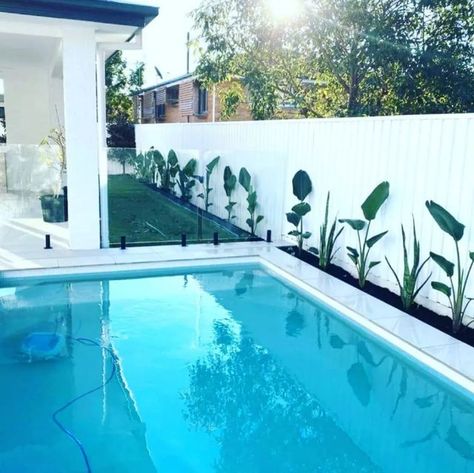 Pool Boundary Fence Ideas, Small Alfresco Ideas Australia, Pool Fencing Ideas Australia, Pool Area Ideas Australia, Pool Fence Ideas Australia, Alfresco Ideas Australia, Pool Fence Ideas, Boundary Fence, Fibreglass Pool