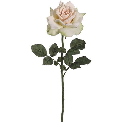 26" Diana Rose Spray Apricot Green | Jo-Ann ($5.24) ❤ liked on Polyvore featuring flowers and filler Style Gauze Net, Style Gauze Net Flower, Gauze Net Flower, Gauze Net, Theatrical Scenery, Diana Rose, Rose Spray, Light Pink Wedding, Pink Wedding Theme