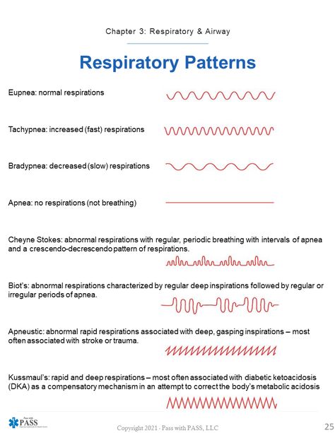 😨Taken from our EMT, AEMT & Paramedic NREMT Study Guides 📖 - this one pager gives you a quick glimpse of the different types of breathing patterns! ​​​🌐 www.passwithpass.com #emt #emtstudent #emtstudents #nremt #paramedicschool #medicstudents #medicstudent #paramediclife #paramedico #paramedical #emtschool #medicschool #medic #futureparamedic #passwithPASS #nremtp #nremtprep #futureEMT #ambulance #nremtexam #emtclass #emseducation National Registry Paramedic Study, Paramedic Study Cheat Sheets, Breathing Patterns Respiratory, Emt Study Medical Mnemonics, Ems Must Haves, National Registry Emt Study, Paramedic School Tips, Emt School Notes, Emt Tips And Tricks