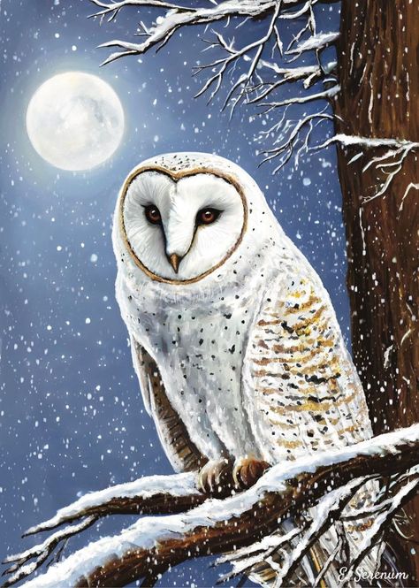 Winter Owl Art, Owl Spirit Animal Art, Winter Animal Art, Snowy Owl Art, Winter Owls, Owl Symbolism, Independent Thinking, Woodland Animal Art, Owl Posters