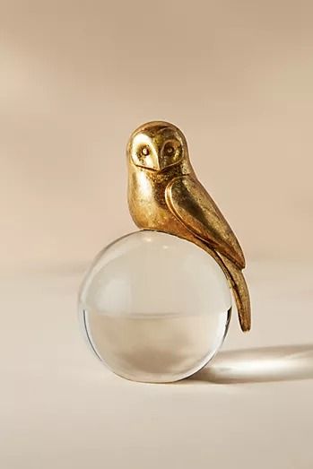 owl Rooms Decoration, Room Refresh, Light Academia, Dream House Decor, Elegant Decor, My New Room, Simple Decor, Glass Ball, Knick Knacks