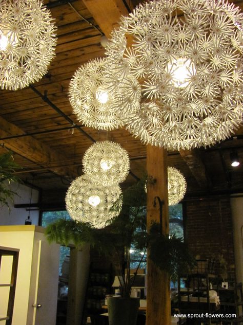 Dandelion lights at Sprout 2.0! Dandelion Wedding Decor, Dandelion Themed Wedding, Dandelion Wedding Theme, Dandelion Sculpture, Gazebo Decor, Dandelion Light, Blowing Dandelion, Gazebo Decorations, Dandelion Art