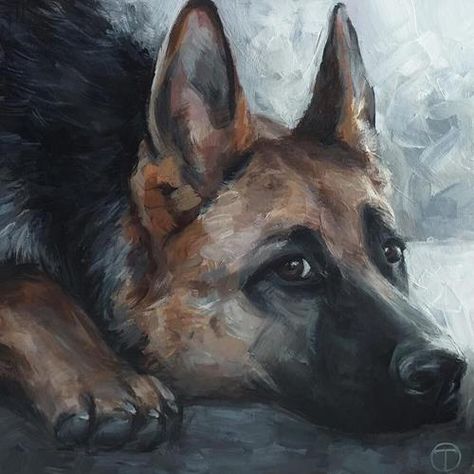 German Shepard Paintings, Acrylic Dog Portraits, German Shepherd Acrylic Painting, German Shepherd Watercolor Paintings, German Shepherd Painting, Painting Dogs, German Shepherd Art, Dog Portraits Painting, Dog Painting