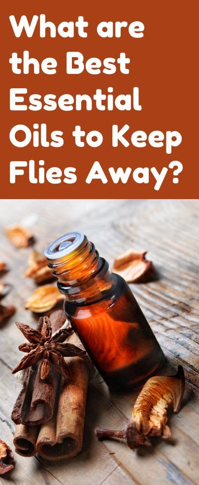 Flies Repellent Outdoor, Fly Repellant Diy, Natural Fly Repellant, Young Living Essential Oil Diffuser, Insect Repellent Essential Oils, Get Rid Of Flies, Fly Spray, Natural Mosquito Repellant, Essential Oils For Pain