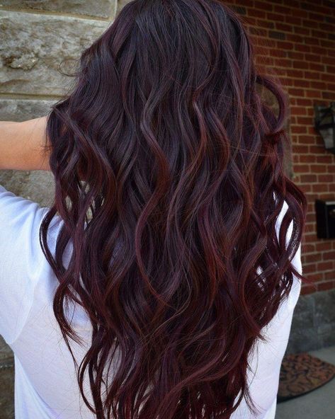 Wine hair color after dye job Josh Boynton #haircolorideas Red Highlights, Dark Hair, Highlights, Hair Color, Wine, Purple, Wall, Red, Hair