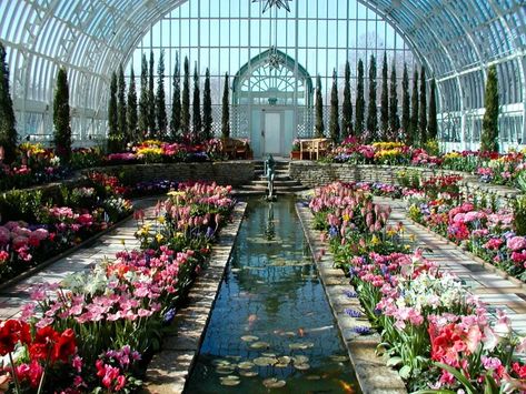 Como Conservatory, Portraits Pastel, Orchid House, North Garden, Glass Building, Sunken Garden, Piscina Natural, Garden Wallpaper, Garden Types