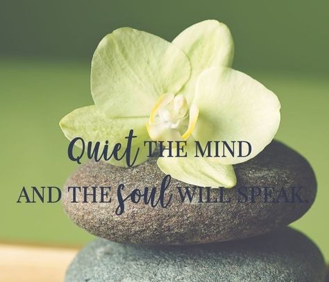 Renewed Mind Quotes, Quiet The Mind And The Soul Will Speak, Quietness Quotes, Peace Of Mind Quotes Wise Words, Zen Quotes Mindfulness, Peace And Quiet Quotes, Peaceful Mind Quotes, Meditation Workshop, Best Couple Quotes