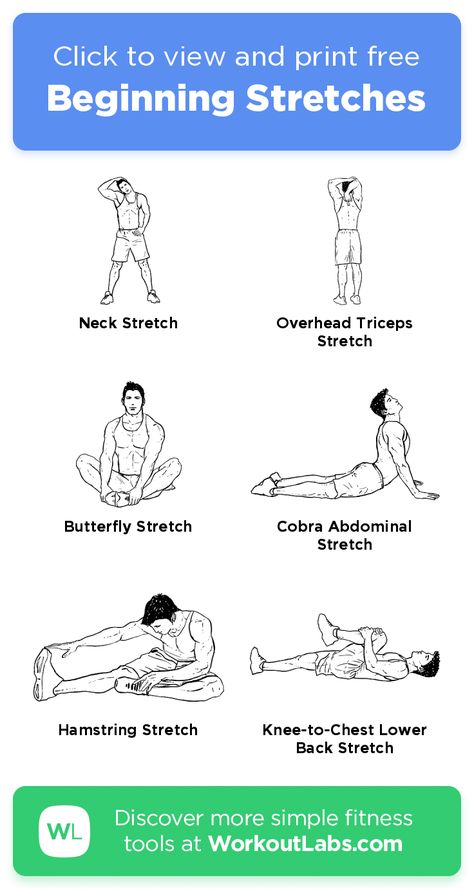 Free Workout: Beginning Stretches · WorkoutLabs Fit Everyday Stretches Routine, Warm Up Exercise Before Workout For Women, Streching Excersise Pre Workout, Streching Excersise Flexibility, After Workout Stretches, Pre Workout Stretches, Workoutlabs Fit, Workout Stretches, Stretches Before Workout