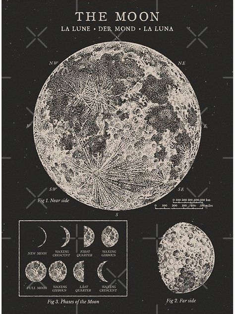 25 Aesthetic, Vintage Astronomy Prints, Celestial Chart, Moon Chart, Moon Phases Art, Wallpaper Moon, Grunge Posters, Astronomy Pictures, Green Moon