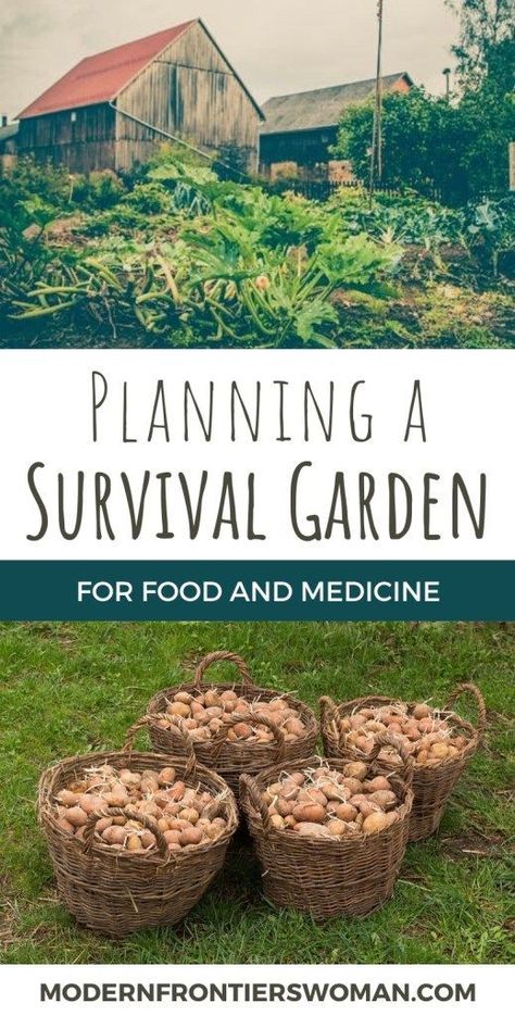 Food Landscaping, Plan Potager, Survival Preparedness, Bush Craft, Survival Garden, Homestead Gardens, Survival Gardening, Garden Wallpaper, Ancient Technology