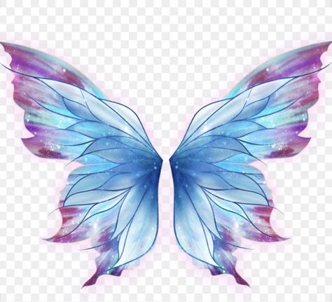 Thanks to Deathrhinoyuyyu for giving me the idea for this story. I ju… #adventure #Adventure #amreading #books #wattpad Fairy Wings Drawing, Butterfly Wings Art, Blue Butterfly Wings, Butterfly Fairy Wings, Wings Png, Angel Wings Art, Art Papillon, Fairy Drawings, Wings Drawing