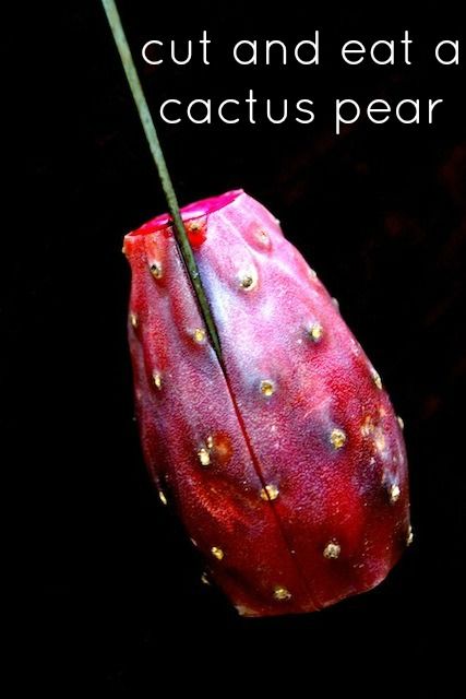 Cactus Juice Recipe, Prickly Pear Syrup Recipe, Prickly Pear Jelly, Prickly Pear Recipes, Cactus Recipe, Prickly Pear Juice, Cactus Salad, Cactus Pear, Arizona Food