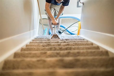 Why You Should Get Your Carpets Professionally Cleaned - Sippy Cup Mom Couch Types, Sofa Cleaner, Clean Carpet, Carpet Cleaner Homemade, Carpet Cleaning Hacks, Carpet Samples, Clean Sofa, Carpet Cleaning Company, Professional Carpet Cleaning