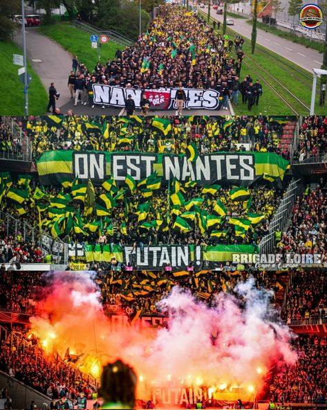 Fc Nantes, Football Club, Football, Collage, Pins, Quick Saves, Nantes, American Football