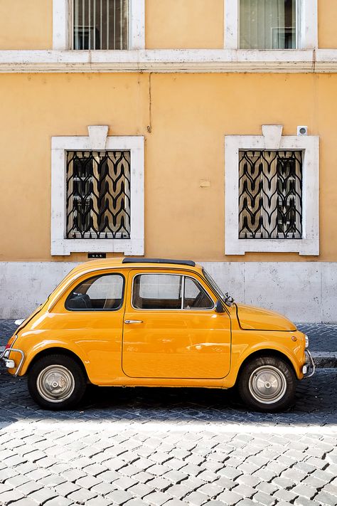 Yellow Fiat 500, Vibe Yellow, Colourful Photos, Yellow Pictures, Yellow Stuff, Yellow Photography, Photography Inspiration Nature, Yellow Things, Yellow Nature