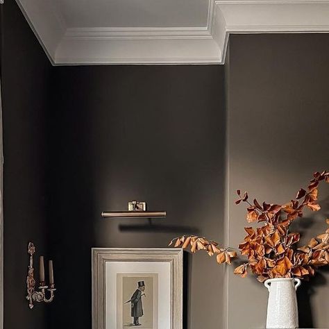 Dark Farrow And Ball Colours, London Clay Farrow And Ball Bedroom, Pantalon Farrow And Ball, Cardamom Farrow And Ball, Farrow And Ball Cardamom, Tanners Brown Farrow And Ball, London Clay Farrow And Ball, Farrow And Ball Bedroom, Farrow And Ball Living Room