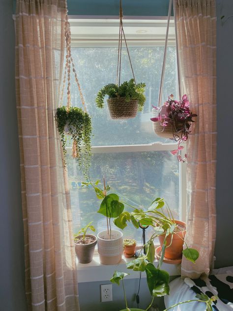 Cute Window Ideas, Cute Window Decor, Windowsill Aesthetic, Plants In Window, Top Surgery Tattoo, Surgery Tattoo, Plant Mom Aesthetic, Cozy Small Bedrooms, Thriving Home