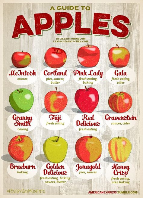 There is no better way to get into the fall spirit than cooking with apples. We've got you covered for our best Gluten Free Apple recipes! Apple Chart, Gluten Free Apple Recipes, Types Of Apples, Makanan Italia, Baking With Honey, Fruit Dip, Fall Apples, Good Eat, Food Info