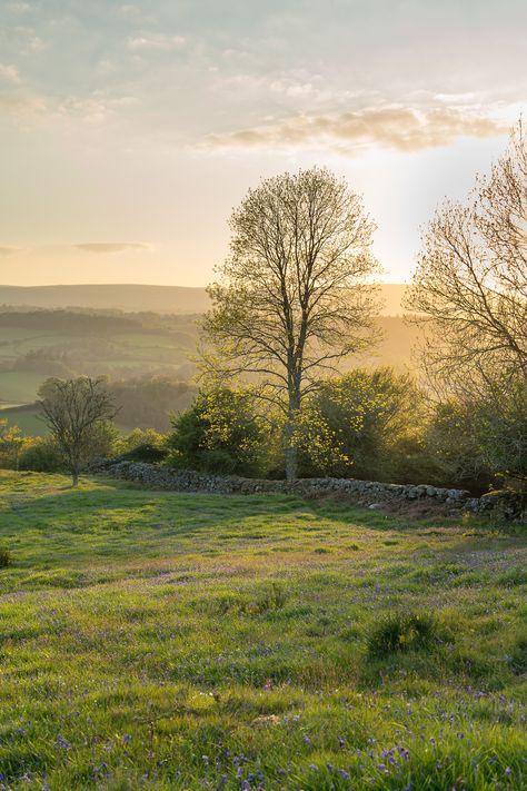 Land With Trees, Modern Farm Aesthetic, House On Land, English Vibes, English Countryside Aesthetic, Land Aesthetic, Bohemian Quotes, Tree Aesthetic, English Farmhouse