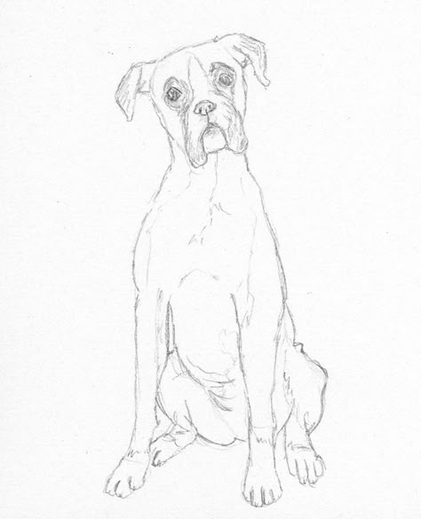 Boxer Dog Sketch by BattleKat's Boutique Drawing Boxer Dog, Boxer Dogs Drawing, Boxer Dog Line Drawing, Boxer Puppy Drawing, Drawing Of Dogs Sketches, Boxer Dog Drawing Easy, How To Draw A Boxer Dog, Cartoon Boxer Dog, Boxer Dog Outline