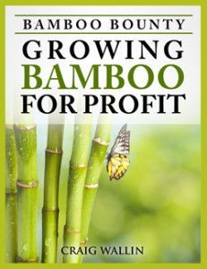 bamboo-book cover-small How To Use Bamboo, Bamboo Farming, Bamboo Uses, Backyard Bamboo, Bamboo Nursery, Bamboo Farm, Backyard Nursery, Bamboo Ideas, Giant Bamboo