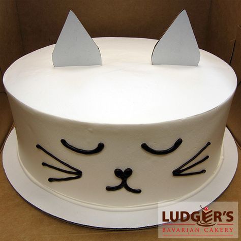 Kitty cat cake! Bavarian cream cheesecake with whipped vanilla frosting with cardboard ears and chocolate icing kitten face drawing Cat Face Cake, Whipped Vanilla Frosting, Kitty Cat Cake, Cat Cakes, Kitten Face, Face Cake, 10 Birthday Cake, Kitten Party, Bavarian Cream