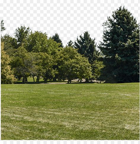 Tree Background Images, Background Park, Ground Background, Ground Photo, Render Background, Trees Background, Photoshop Landscape, Background Tree, Background Png Images