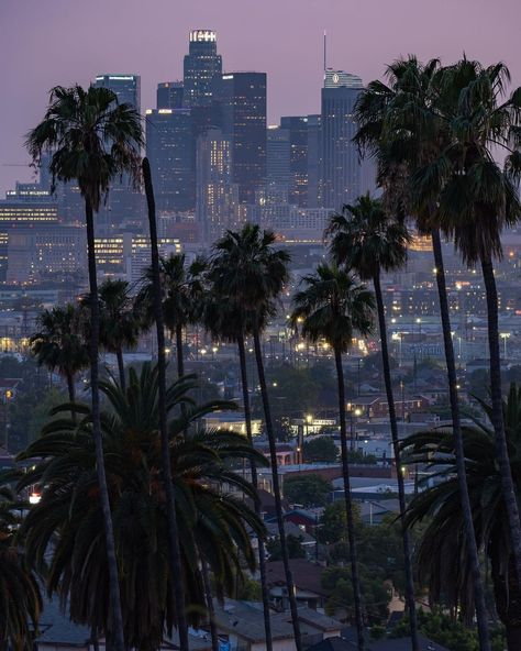 Secret Los Angeles on Instagram: “Concrete Jungle 🌴 🌃⁠ #myscretla⁠ ⁠ 📸: @goldn.state⁠ .⁠ .⁠ .⁠ #losangeles #cali #californiaadventure” Los Angeles Wallpaper, La Aesthetic, Los Angeles Aesthetic, Los Angeles Travel, City Of Angels, California Dreamin', Dream Holiday, Dream City, Concrete Jungle