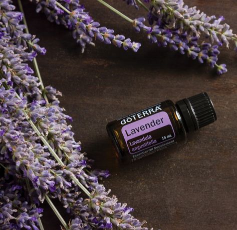 Lavanda Doterra, Lavender Essential Oil Uses, Doterra Lavender, Are Essential Oils Safe, Essential Oil Safety, Ylang Ylang Essential Oil, Best Essential Oils, Oil Uses, Essential Oil Uses