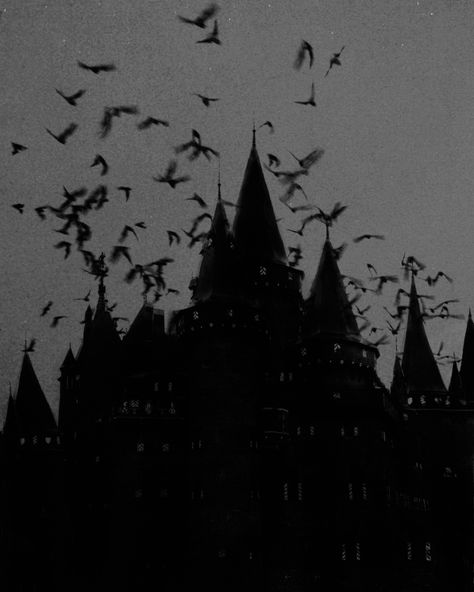 Nona Limmen, Paradis Sombre, Arquitectura Wallpaper, Goth Architecture, Gothic Castle, Gothic Vampire, Three Fold, Ange Demon, Gothic Aesthetic