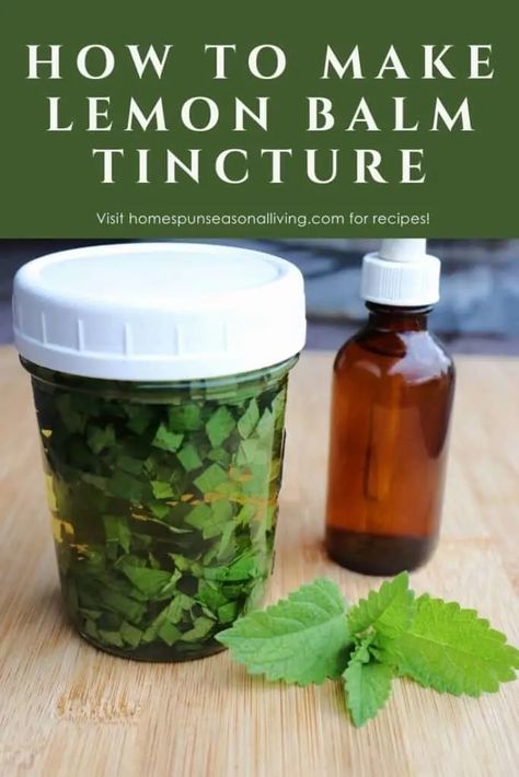 Lemon Balm Tincture, Tinctures Recipes, Medicinal Garden, Upset Stomach, Lemon Balm, Jar Labels, Shelf Life, Glass Jars, Vodka