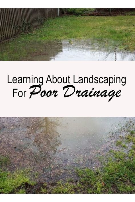 Drainage Trench Landscaping, Backyard Water Runoff Ideas, Dry Riverbed Landscaping Backyards, Water Drainage Ideas Yards Diy, Pool Overflow Drainage, French Drain Ideas Landscapes, Dry River Bed Drainage, River Bed For Drainage, Drainage Along Fence Line