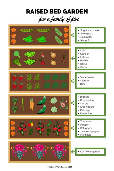 Garden Plot, Garden Bed Layout, Raised Garden Bed Plans, Raised Bed Garden, Vegetable Garden Raised Beds, Backyard Garden Layout, Garden Layout Vegetable, Vegetable Garden Planning, Vegetable Garden Diy