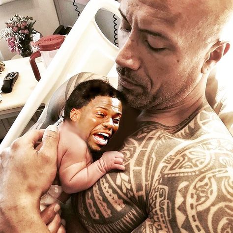 Kevin Hart Meme, Kevin Hart Funny, Funny Photoshop, The Rock Dwayne Johnson, Kevin Hart, Dwayne The Rock, Dwayne Johnson, Funny Love, Really Funny Pictures