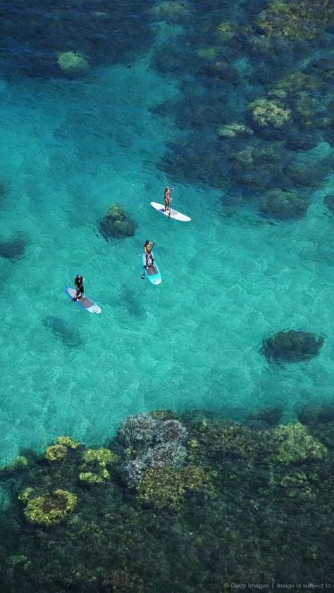 Blue And Green Aesthetic, European Islands, Landscape Tropical, South Europe, Green Vibe, Summer Beach Vibes, Paddle Board Surfing, Palm Tree Island, Landscape Ocean