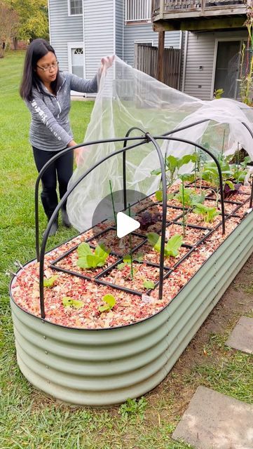 Lannie Armstrong on Instagram: "I use this DIY hoop cover system as a season extender and barrier to protect the garden from frost and pests. During the fall and spring, I use fine insect netting to prevent the white moth from laying eggs and chewing on my brassicas once the eggs hatch. Depending on what I'm growing, it could be deer netting to simply protect the wildlife from devouring my vegetables. During the freezing winter, the cover is replaced with 6 mil plastic sheeting to protect the plants from frost. #frostprotection   When creating the hoops remember to consider the size of the plants once they mature. The height of the stake and the length of the tubing will depend on the height you desire.  This cover system is not the most stable but it's a good alternative. It may not the t Veggie Garden Cover, Insect Netting Garden Diy, Raised Garden Cover Diy, Raised Bed Winter Cover, Raised Bed Netting Ideas, Protecting Raised Beds From Animals, Protect Garden From Birds, Garden Netting Cover, Frost Covers For Gardens