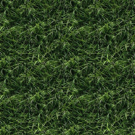 10 Grass Texture Background Grass Texture Seamless, Grass Texture, Grass Background, Texture Seamless, Background Background, Texture Background, Textured Background, Design Resources, Texture