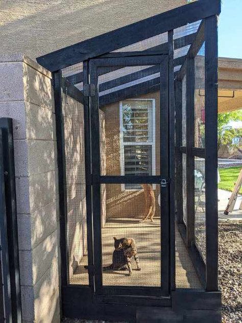 How to Build a DIY Outdoor Cat Enclosure - Adventurer At Heart Catio Plans, Catio Ideas, Diy Cat Enclosure, Ideas For Cats, Colorful Hairstyles, Cat Patio, Outdoor Cat Enclosure, Cat Run, Cat House Diy