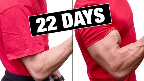 Build Bigger Arms, Fitness Cartoon, Big Arm Workout, Challenge Calendar, Workout Arms, Get Bigger Arms, Bigger Biceps, Arm Toning Exercises, Arm Challenge