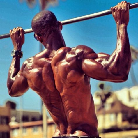 This article serves as a guide to assist in developing a bigger, thicker, more muscular back. Muscular Back, Beginner Full Body Workout, 남성 근육, Full Body Workout Plan, Treadmill Workouts, 남자 몸, Body Workout Plan, Street Workout, Body Anatomy