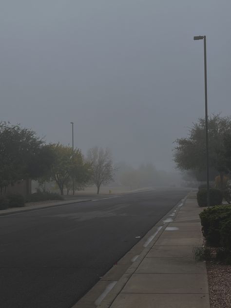 Foggy Morning Aesthetic, Foggy Street, Winter Mood Aesthetic, Aesthetic Fog, Foggy Aesthetic, Foggy Trees, Calming Pictures, Dark Forest Aesthetic, Aesthetic Morning