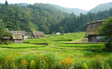 田舎 | Countryside of Japan. Taken 2 years ago | hmxxyy | Flickr Japan Countryside Aesthetic, Countryside House Aesthetic, Japan Countryside, Japan Village, Countryside Aesthetic, Japanese Countryside, Japanese Village, House Aesthetic, Countryside Landscape