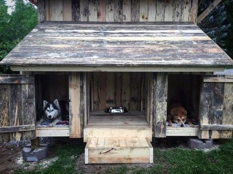 Diy Big Dog House Outdoor, Outside Dog Houses For Big Dogs, Multiple Dog House, Double Dog House, Easy Dog House, Rustic Lifestyle, Dog House Ideas, Outdoor Dog Area, Outside Dog Houses